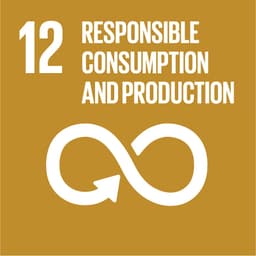 logo SDG 12