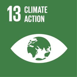 logo SDG 13